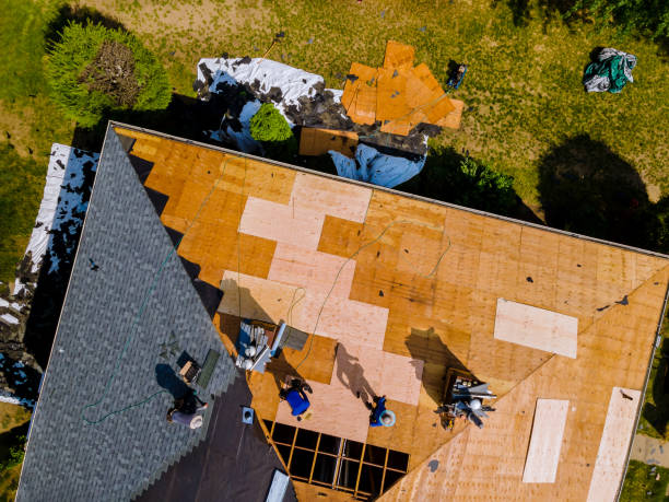 Best Roof Gutter Cleaning  in Columbia, TN
